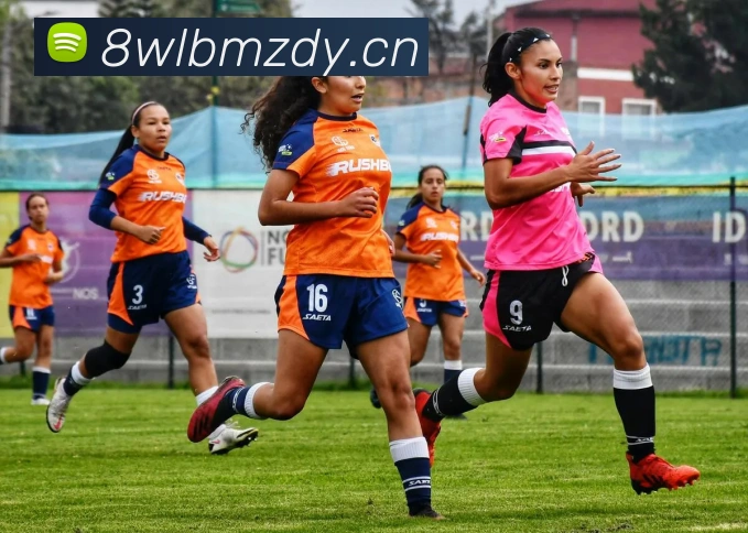 多媒体互动体验